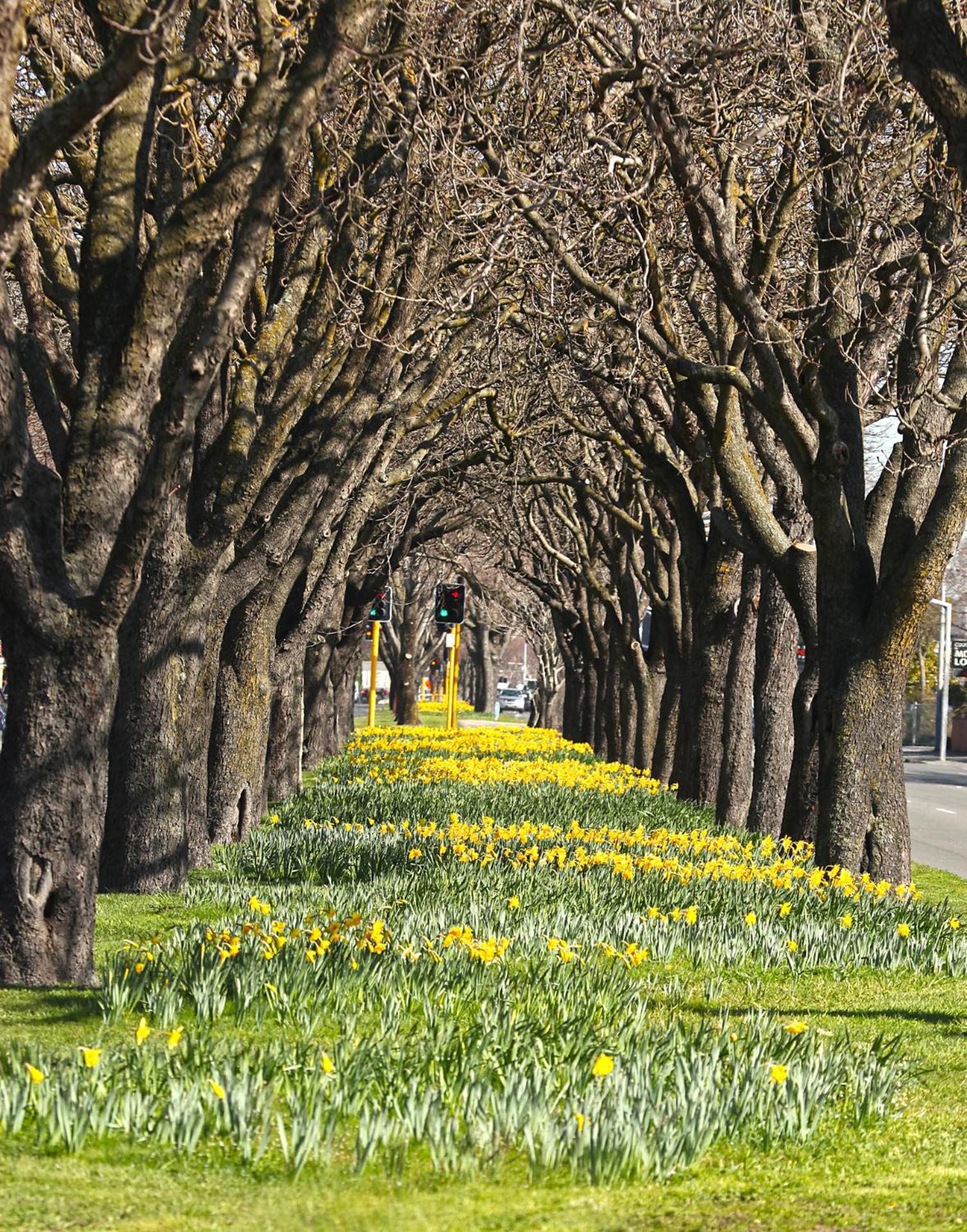 Chic In The Heart Of Holiday home Christchurch